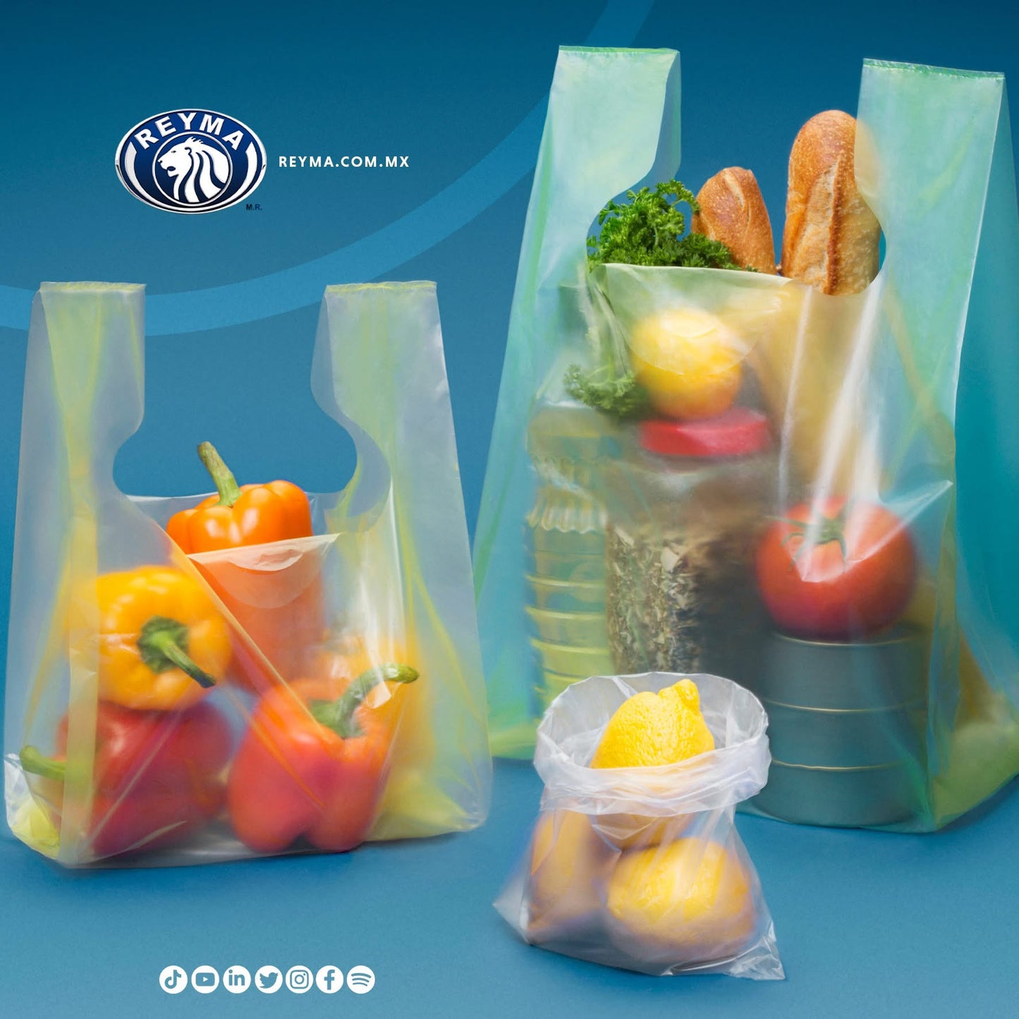 Bolsas Camiseta Mediana 25x50cm Poliseda REYMA Bolsa 1Kg