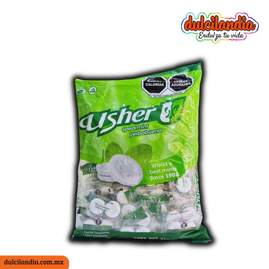 Pastillas Yerbabuena 2’s USHER Bolsa c/100